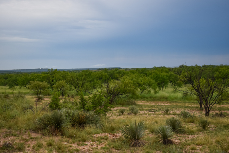 40 Acres E. FM 765
