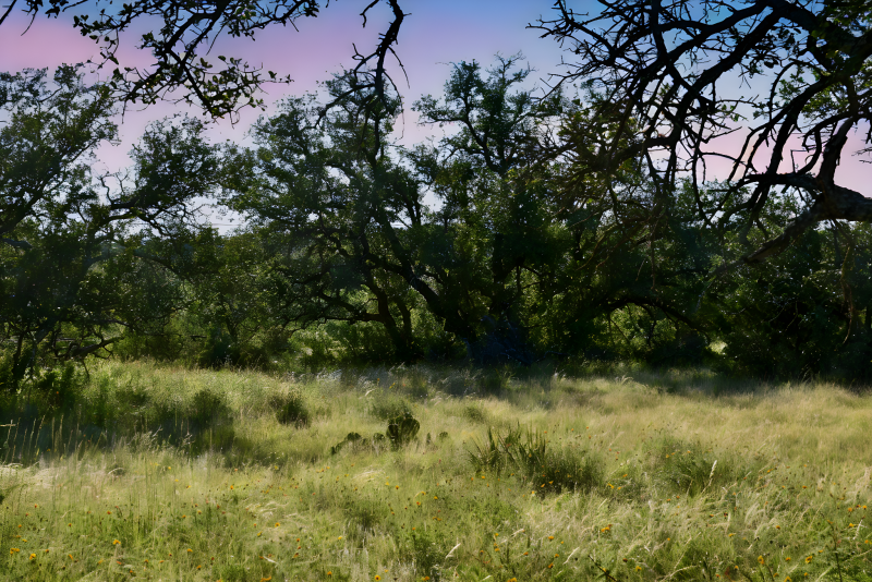 Cave Wells Ranch Tract 1
