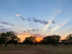 19319 Ranch Road 1871 (4)