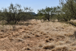 19319 Ranch Road 1871 (38)