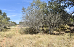 19319 Ranch Road 1871 (39)