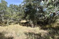 19319 Ranch Road 1871 (41)