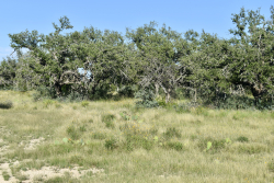 Cave Wells Ranch Tract 1 (11)