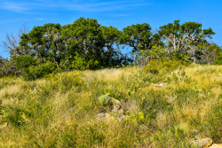 292+/- Acres (10)