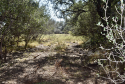 19319 Ranch Road 1871 (51)