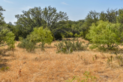 303 County Road 465 (13)