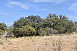 19319 Ranch Road 1871 (55)