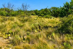 292+/- Acres (12)