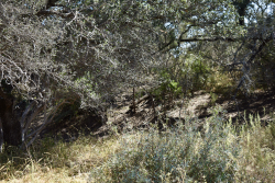 19319 Ranch Road 1871 (65)