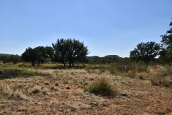 19319 Ranch Road 1871 (67)