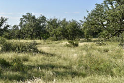 Cave Wells Ranch Tract 1 (14)