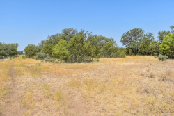 303 County Road 465 (15)