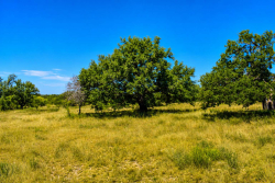129 Big Buck Run Road (15)