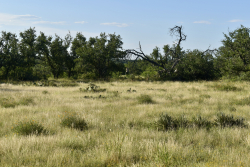 Cave Wells Ranch Tract 1 (15)