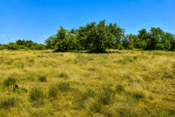 129 Big Buck Run Road (16)