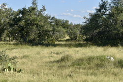 Cave Wells Ranch Tract 1 (16)