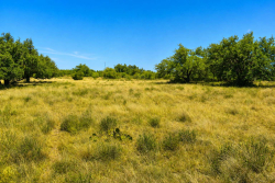 129 Big Buck Run Road (17)