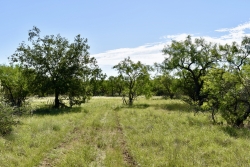 Hilltop Ranch (8)