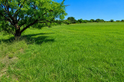 8228 US Hwy 377 (22)