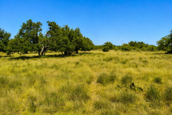 129 Big Buck Run Road (18)