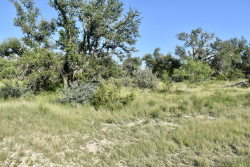 Cave Wells Ranch Tract 1 (18)
