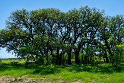 8228 US Hwy 377 (23)