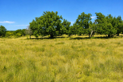 129 Big Buck Run Road (19)