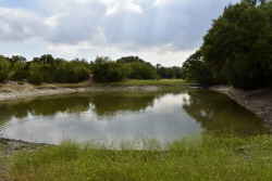 303 County Road 465 (20)