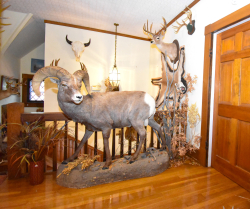 704 S. Bridge St. (19)