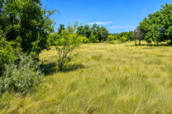 129 Big Buck Run Road (20)