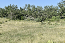 Cave Wells Ranch Tract 1 (20)