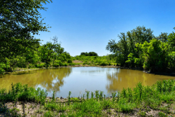 8228 US Hwy 377 (25)
