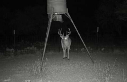 129 Big Buck Run Road (21)