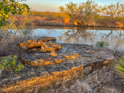 20 Acres E. FM 765
