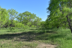 FM 765