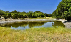 303 County Road 465 (2)