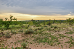 40 Acres E. FM 765 (2)