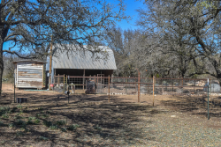 127 Private Road 715, Small Acreage with Two Homes! (25)
