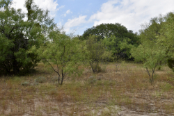 303 County Road 465 (22)