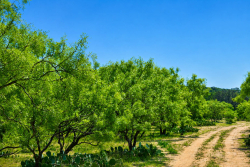 8228 US Hwy 377 (26)