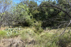 2035 CR 448 (22)