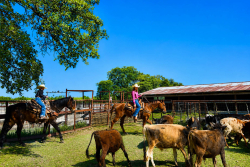 8228 US Hwy 377 (27)