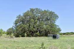 8228 US Hwy 377 (29)
