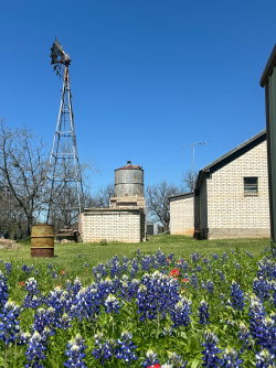 12236 First Street (23)