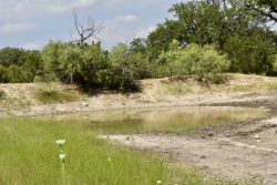 303 County Road 465 (25)