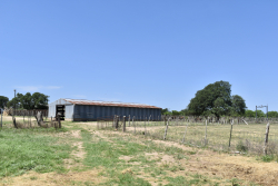 8228 US Hwy 377 (31)