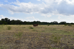 303 County Road 465 (26)