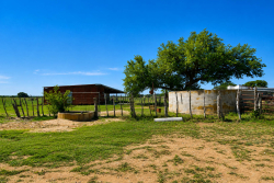 8228 US Hwy 377 (31)
