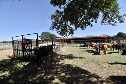8228 US Hwy 377 (34)