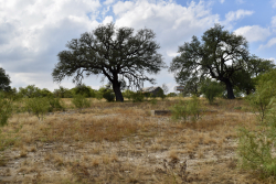 303 County Road 465 (27)